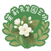 茉莉先生园艺店