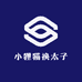 小狸猫换太子