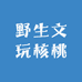 核观天下