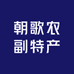 朝歌农副特产