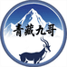 青藏九哥