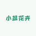 小盆花卉