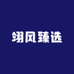 翊风臻选
