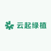 云起绿植优品店