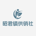 兴山县昭君镇供销社