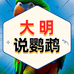 大明说鹦鹉