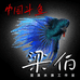 滢淏精品水族工作室