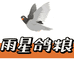 太原雨星鸽粮