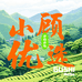 小顾优选