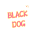 BlackDog宠物用品