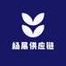 杨展供应链