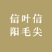 信叶信阳毛尖小店