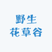 野生花草谷