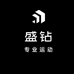 深圳市盛钻技术有限公司企业店