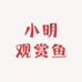 小明观赏鱼