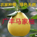 泉哥广丰特产店