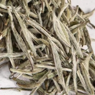 福鼎白茶源头工厂店