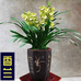 茗韵花卉