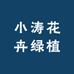 小涛花卉绿植