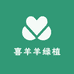 喜羊羊绿植