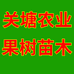 关塘果树苗木专营店
