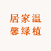 居家温馨绿植