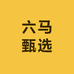 六马甄选贸易铺