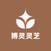 博灵灵芝