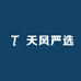 天风严选