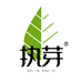 执芽茶叶