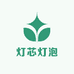 吸顶灯灯芯灯泡光源