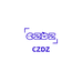 CZDZ童装旗舰店