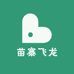 苗寨飞龙