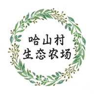 哈山村生态农场