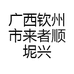 广西钦州市来者顺坭兴陶