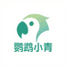 鹦鹉小青