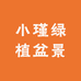小瑾绿植盆景