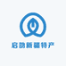 启劭新疆特产