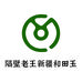 隔壁老王新疆和田玉