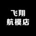 飞翔航模店