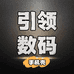 引领数码