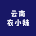 云南农小妹