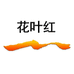 黄山花叶红特产