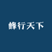 峰行天下数码工厂店