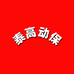 泰高动保2店