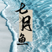 七月鱼