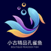 小古水族观赏鱼