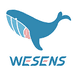 WESENS卫神官方旗舰店