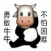 勇敢牛牛数码
