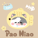 泡泡是只猫猫